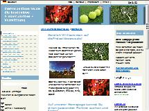 Bild der Webseite von Die Freizeitboerse